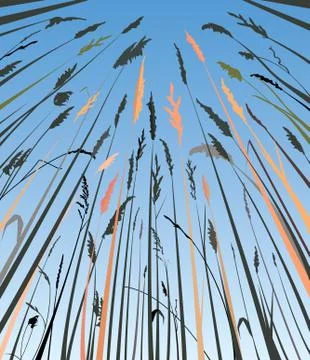 Tall steppe grass Stock Illustration
