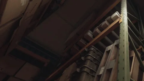 Tall storage shelves with boxes in a warehouse on a cloudy day Stock Footage 344098547