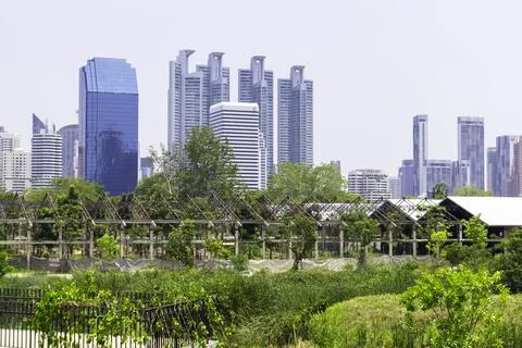 Tall structures in a large metropolis Large metropolis by day, panoramic pi.. Stock Photos
