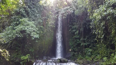 Tall Sumampan Waterfall Cascading Into Jungle Pool Stock Footage 342296599