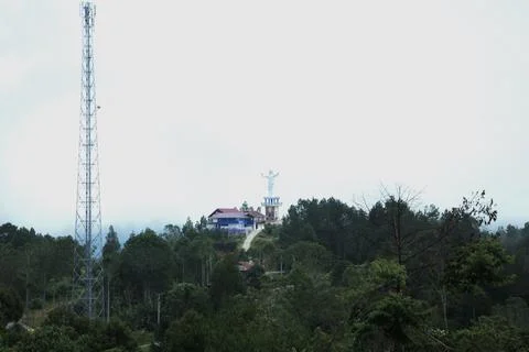 A tall tower is in the background of a forest Stock Photos