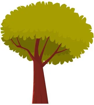 Tall tree with brown thick trunk and leaves. Large plant with dense round crown Stock Illustration