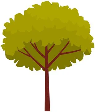 Tall tree with brown thick trunk and leaves. Large plant with dense round crown Stock Illustration