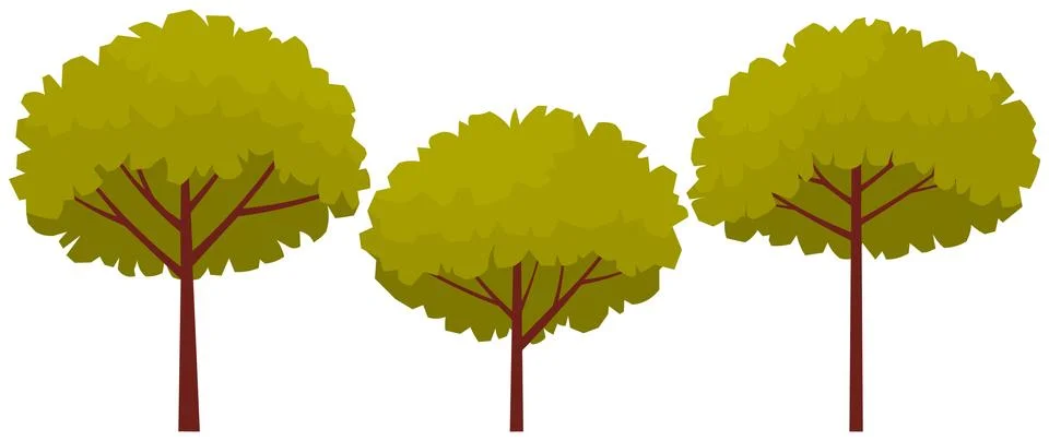 Tall tree with brown thick trunk and leaves. Large plant with dense round crown Stock Illustration