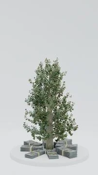 Tall tree with dollar bundles on light background finance prosperity concept 스톡 일러스트