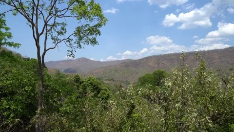 A Tall Tree in Front of the Valley Landscape of Erawan Nation Park Video stock 74290665