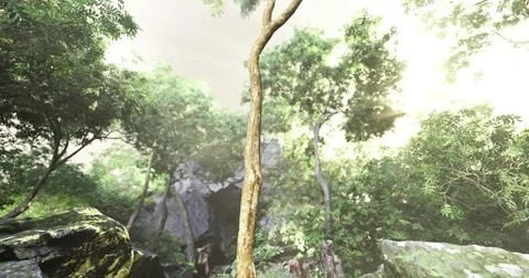 Tall tree in lush green forest with sunlight filtering through foliage Ilustração Stock