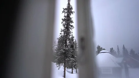 Tall tree with snow seen through window opening in lapland Stock Footage 128949951