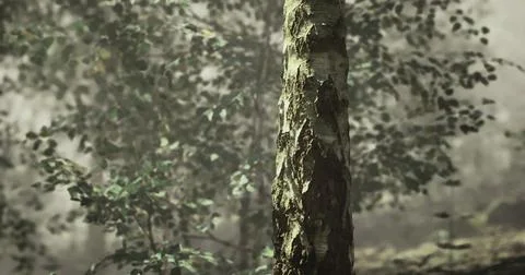 Tall tree with textured bark surrounded by lush greenery in a serene forest Stock-Illustration
