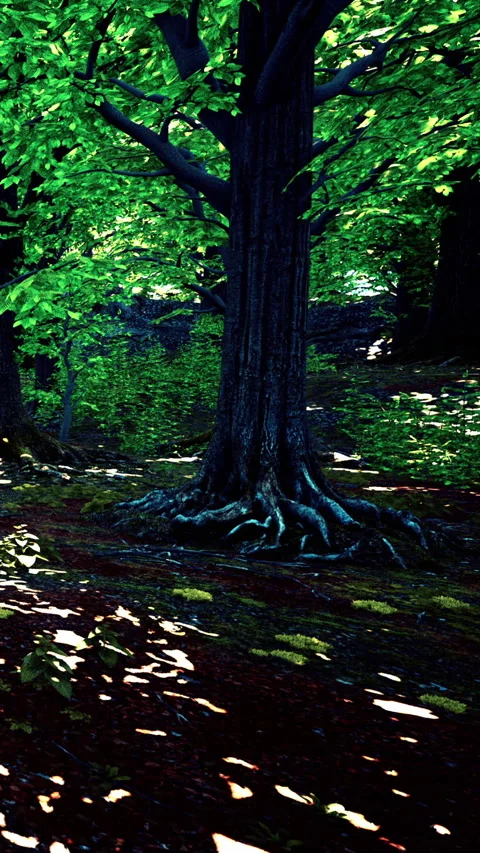 Tall tree with visible roots in a dense green forest during daytime Stock Footage 340267984