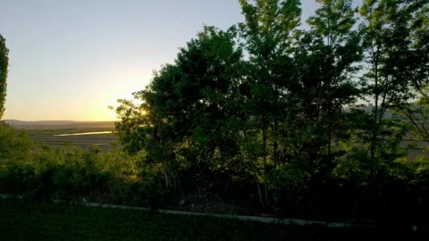 Tall trees and a stunning sunset casting golden light with agriculture field  Stock Footage 330696731