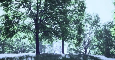 Tall trees basking in sunlight on a serene grassy hill in early summer Stock Illustration