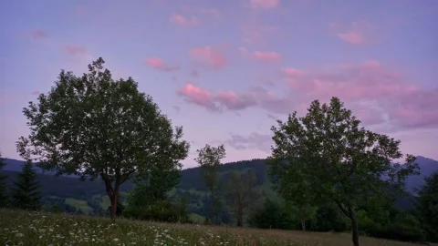 Tall trees in front of colorful clouds full of red and yellow during sunset. Stock-Footage 230919701