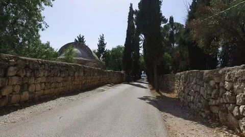 Tall Trees Lining Road and Stone Walls Stock Footage 77806438
