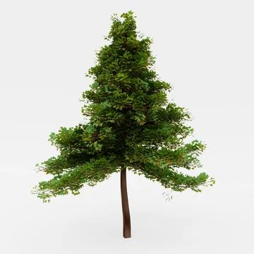 Tall trees look like pine trees. Full of green trees On a white background 3D Stock Illustration