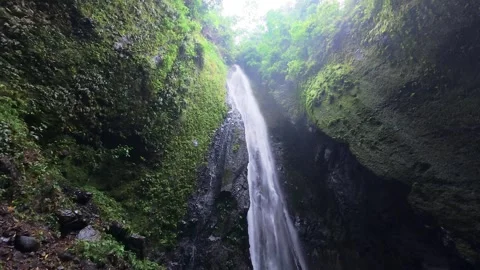 Tall Tropical Waterfall Stock Footage 330317763