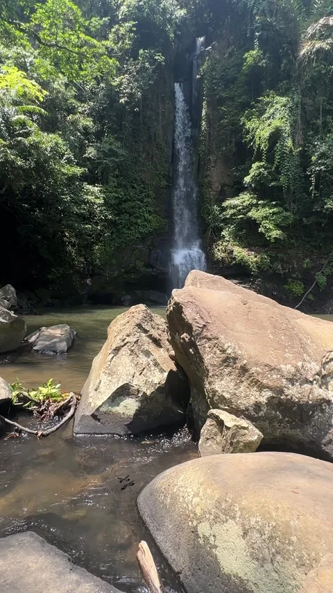 Tall Waterfall and River with Large Rocks in Dense Tropical Forest Vertical Stock Footage 324073949