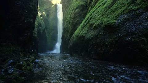 Tall waterfall and stream flowing through a mossy gorge Stock Footage 76892689