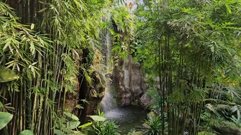 A tall waterfall cascades down through dense jungle Stock Footage 308356599