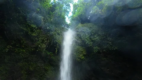 Tall waterfall cascades through thick jungle foliage. 스톡 동영상 334628298