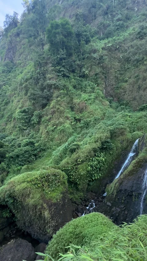 Tall Waterfall Cascading Down Lush Green Cliffside, Vertical Pan Up Shot 스톡 동영상 323907953
