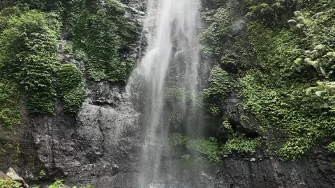 Tall Waterfall Cascading Down Lush Jungle Cliff, Dynamic Upward Pan, Vertical Sh Stock-Footage 324851339