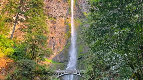 Tall waterfall cascading down a rocky cliff surrounded by trees. A majestic Stock Footage 290779194