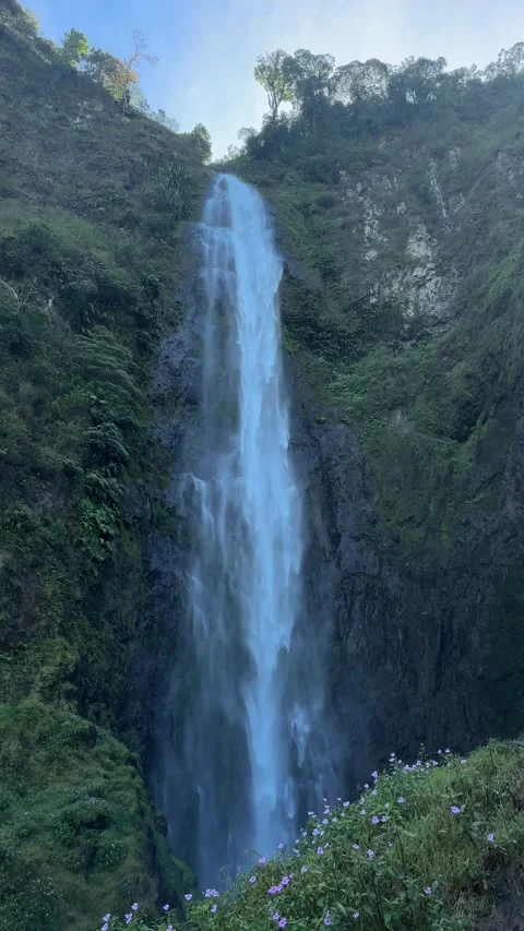 Tall Waterfall Cascading Down Rocky Cliff in Lush Green Forest, Vertical Shot Stock Footage 323909041