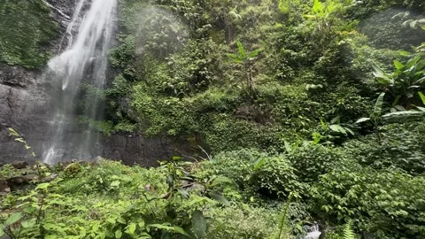 Tall Waterfall Cascading Down Rocky Cliff in Lush Tropical Jungle, Panning Shot Video stock 324851298