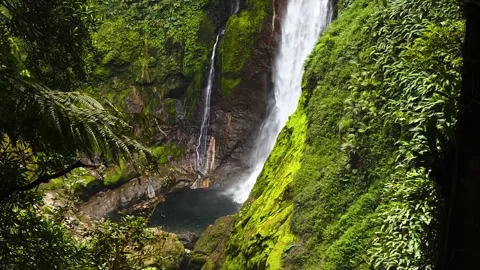 A tall waterfall cascading into a mossy pool in a Costa Rican rainforest. 動画素材 347884656