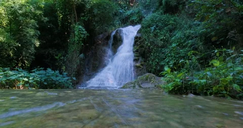 Tall waterfall in deep tropical rain forest with green plant Stock Footage 150491579