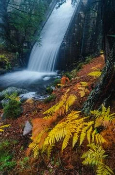 A tall waterfall falls softly through mossy rocks in a misty forest, framed.. Stock Photos