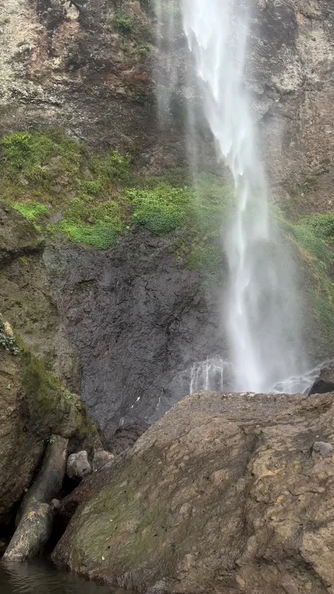 Tall Waterfall Flowing Down Cliff to Clear Water Pool, Vertical Pan Stock Footage 323911613