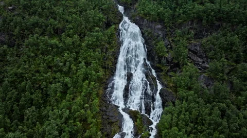 Tall waterfall flowing through dense green forest in rural Norway. Stock Footage 328132395