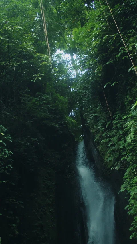 Tall waterfall flowing through jungle canyon Stock Footage 308963376