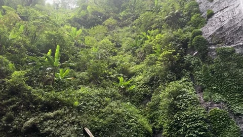 Tall Waterfall Flowing Water Down Cliff in Lush Tropical Jungle, Upward Pan 스톡 동영상 323777621