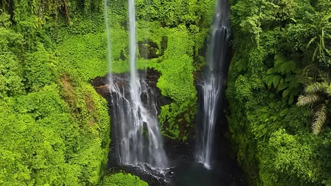 Tall Waterfall in Jungle Stock Footage 323143147