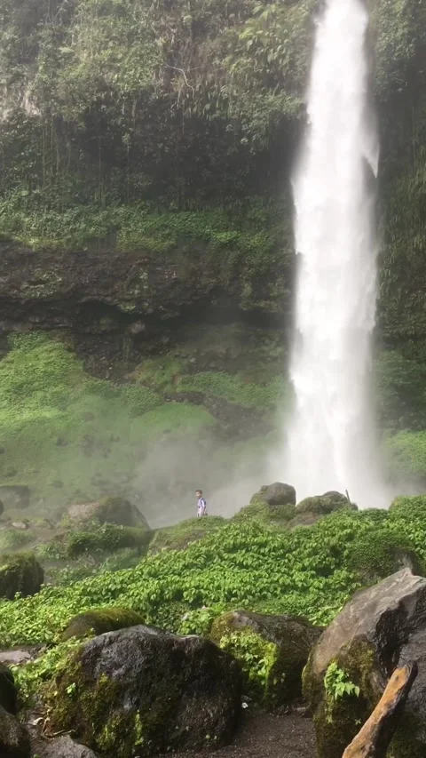 Tall Waterfall in Lush Tropical Forest with Hiker, West Java, Indonesia. Видео 344401413