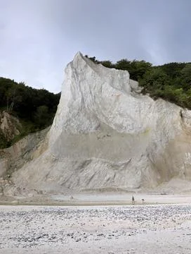 Tall white cliff slowly eroding with trees and plants that will eventually .. Stock Photos