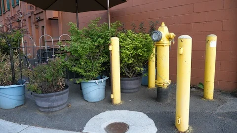 Tall Yellow Fire Hydrant Stock Footage 92958492