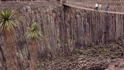 Tall Yucca Trees Beside Basalt Rock Columns at Historic Canyon in Mexico Stock Footage 336468468
