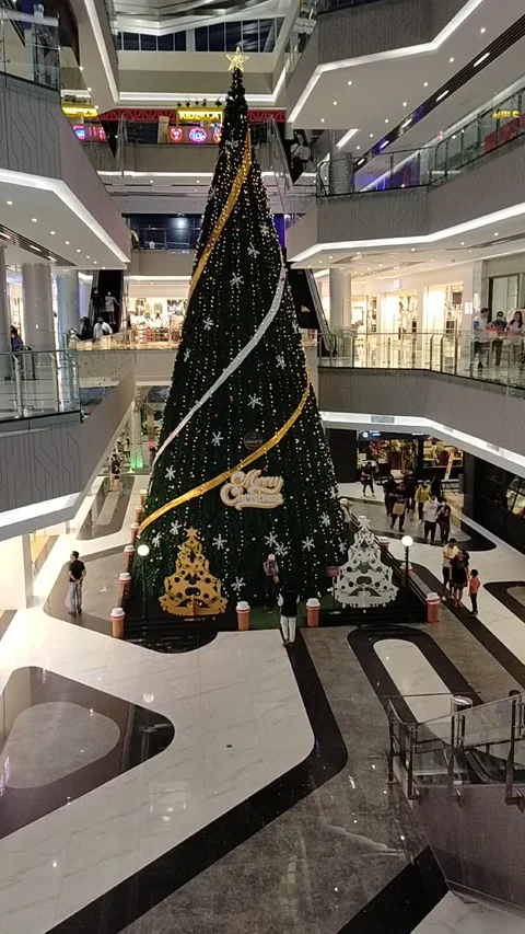 The tallest christmas tree Stock Footage 226957923