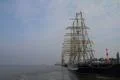 Tallships 1661 Photo