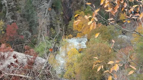 Tallulah Gorge #6 Stock-Footage 12570874