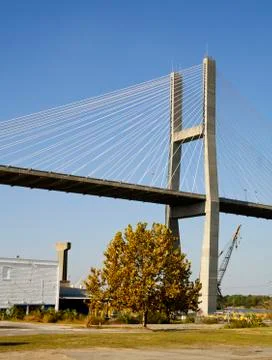 The Talmadge Memorial Cable-stayed Bridge Stock Photos