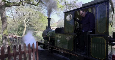 Talyllyn steam engine at Dolgoch station with head of steam, Gwynedd, Wales, Vídeo Stock 332245880