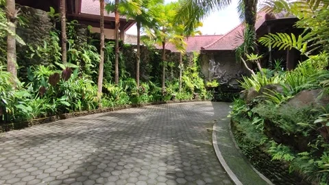 Taman Dedari 1 - Bali 動画素材 242017384