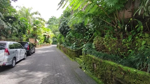 Taman Dedari 2 - Bali 動画素材 242017379