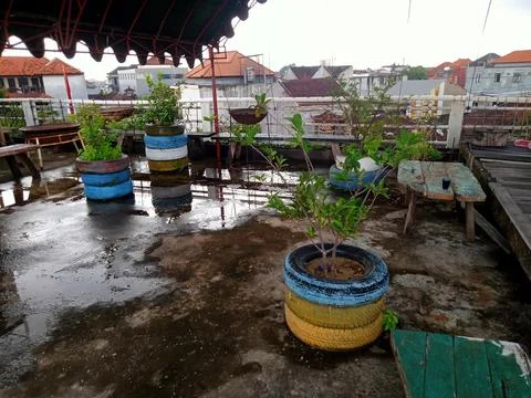 Taman 写真素材