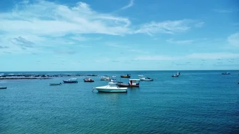 Tamar project foundation Stock Footage 238489522